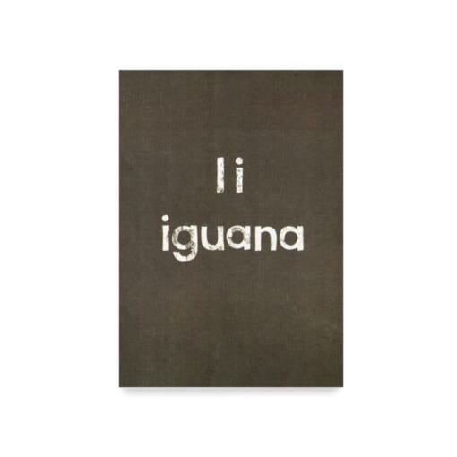 John Burninghamポスター<br>イグアナ - 画像 (2)